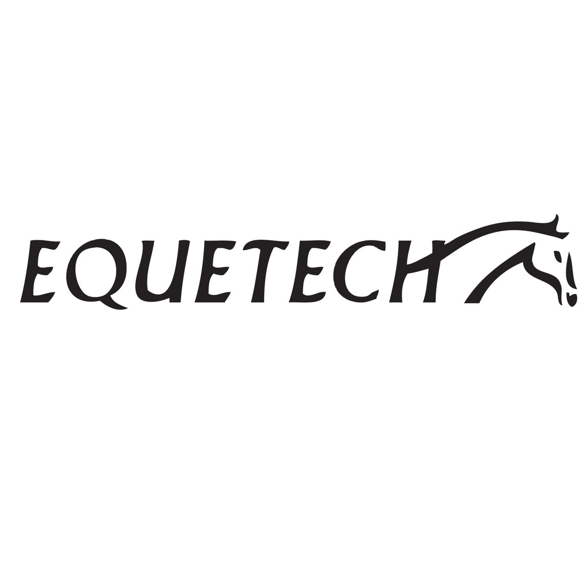 Equetech – Rubenesque Rider