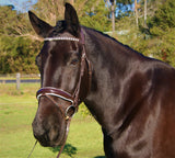 The Cyrano rolled leather bridle by Heavy Horseware